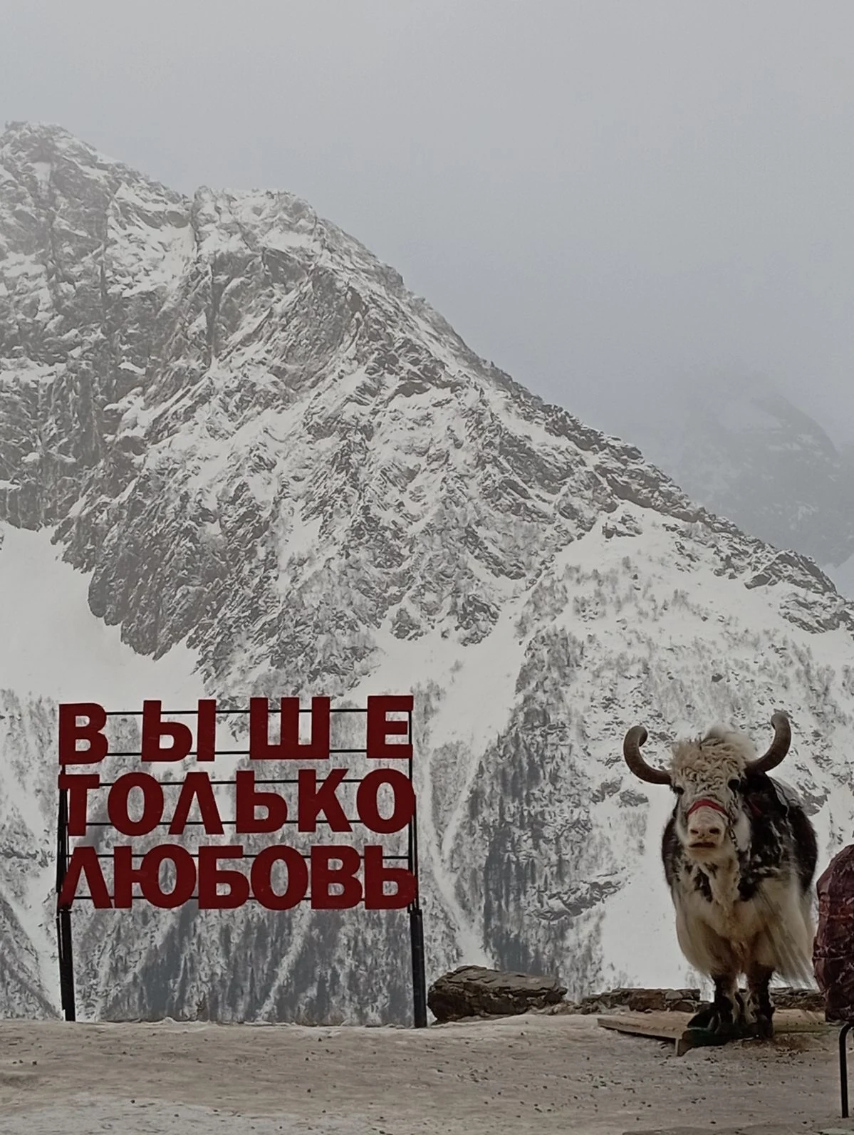 Панорамы Домбая